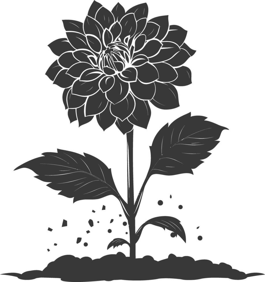 AI generated Silhouette dahlia flower in the ground black color only vector