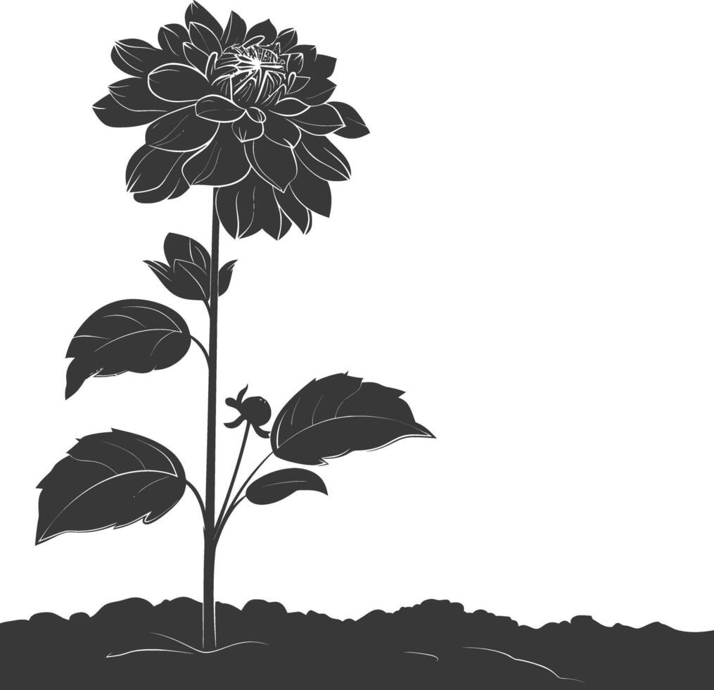AI generated Silhouette dahlia flower in the ground black color only vector