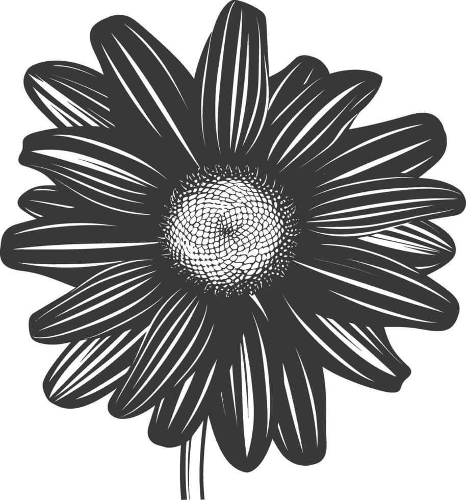 AI generated Silhouette daisy flower black color only vector