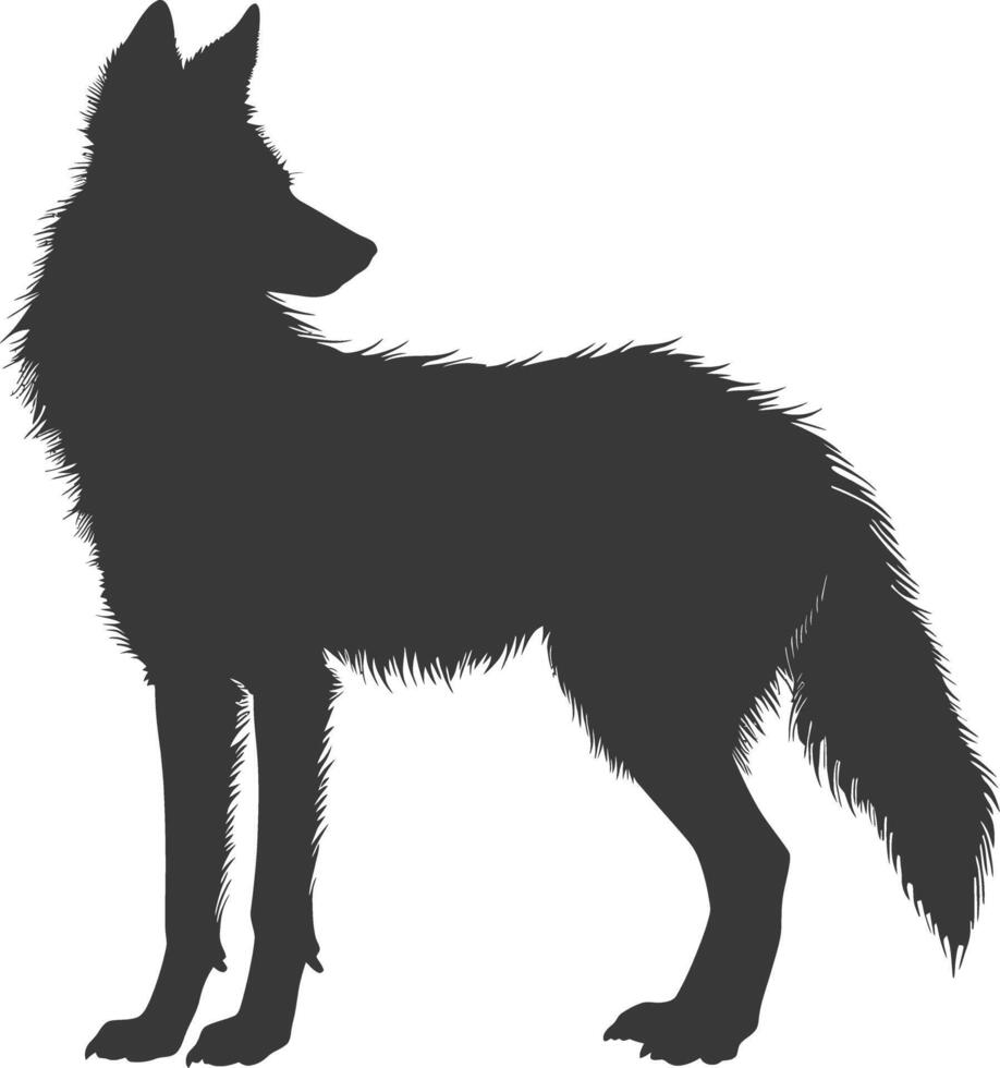 AI generated Silhouette coyote animal black color only full body vector