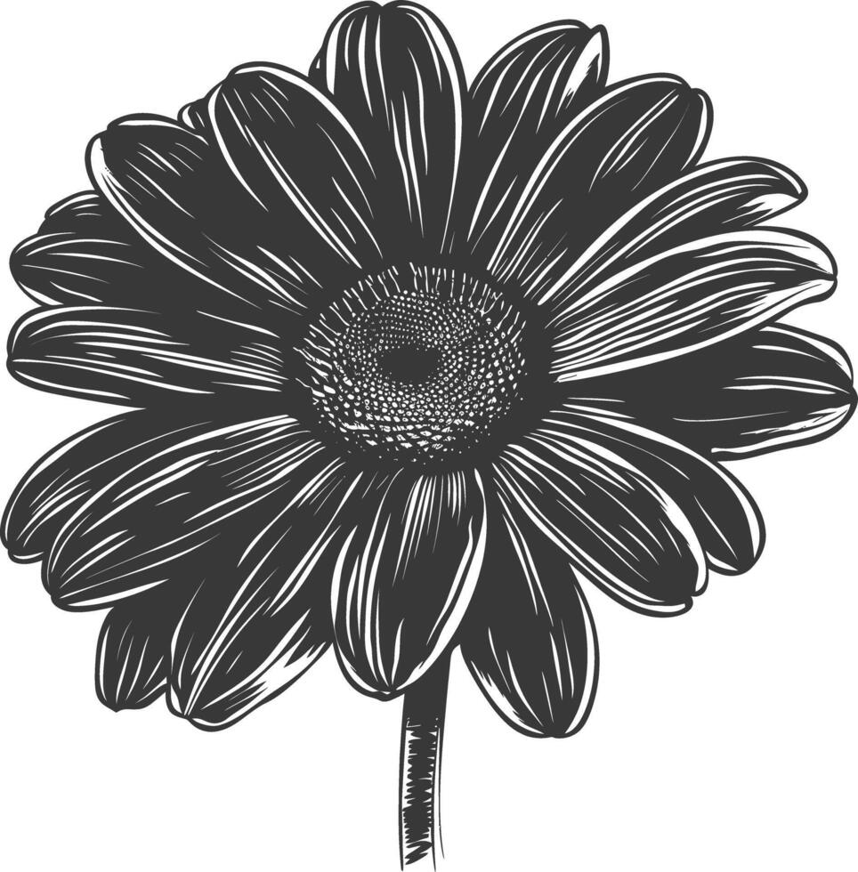 AI generated Silhouette daisy flower black color only vector