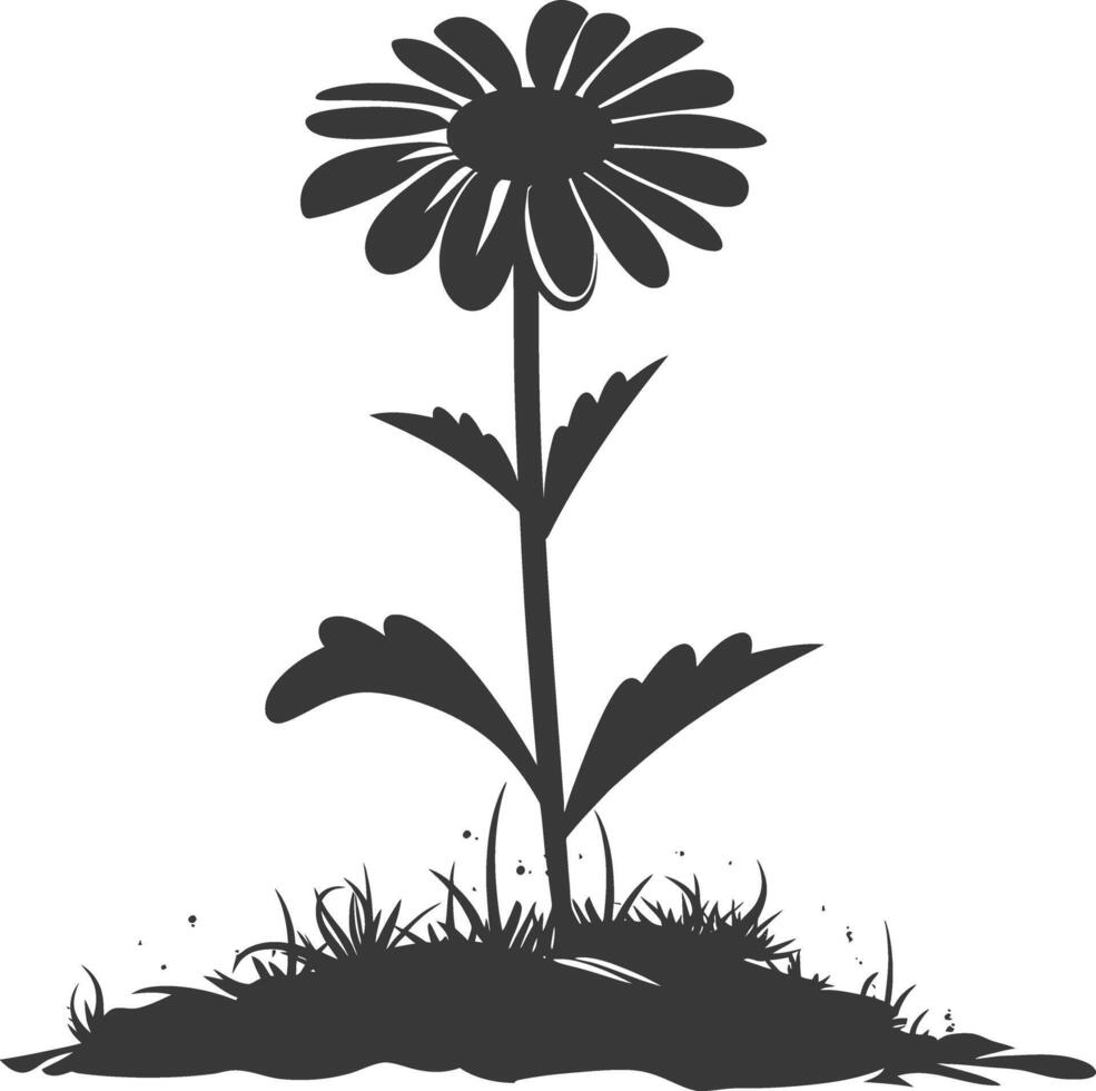 AI generated Silhouette daisy flower in the ground black color only vector