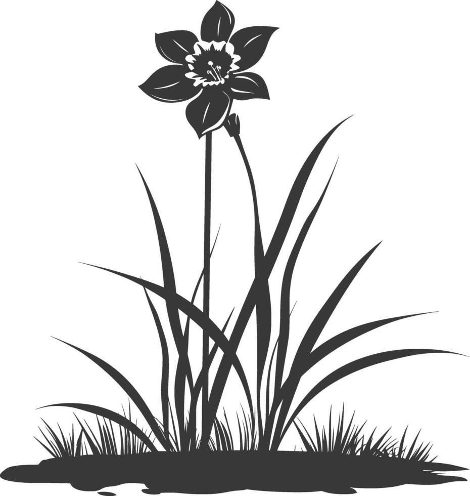 ai generado silueta narciso flor en el suelo negro color solamente vector