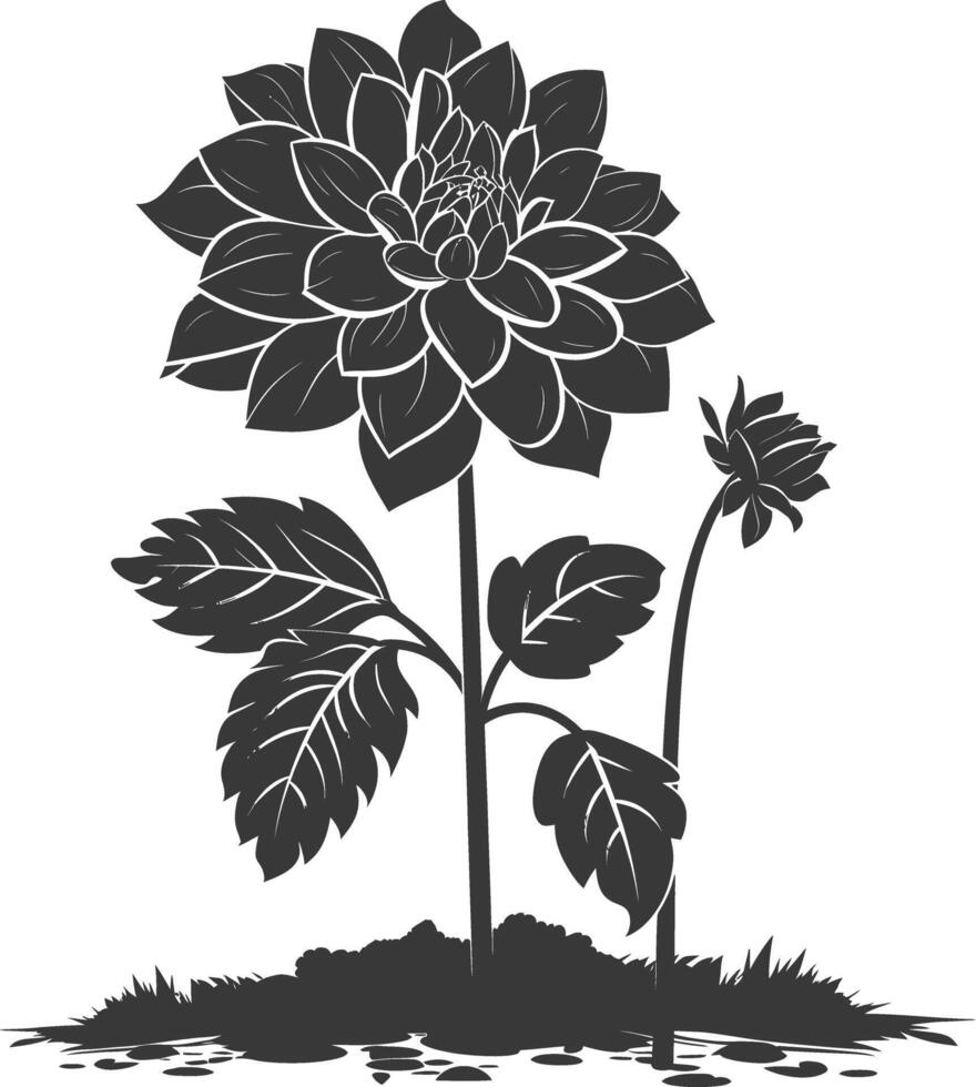 AI generated Silhouette dahlia flower in the ground black color only vector