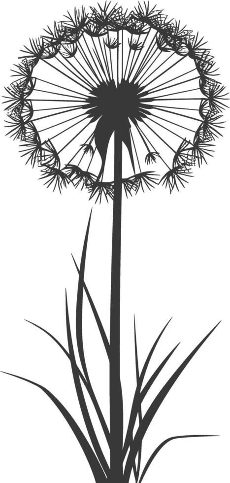 AI generated Silhouette Dandelions flower single black color only vector