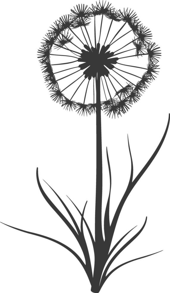 AI generated Silhouette Dandelions flower single black color only vector