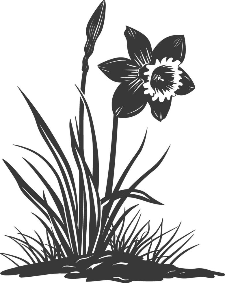 AI generated Silhouette daffodil flower in the ground black color only vector