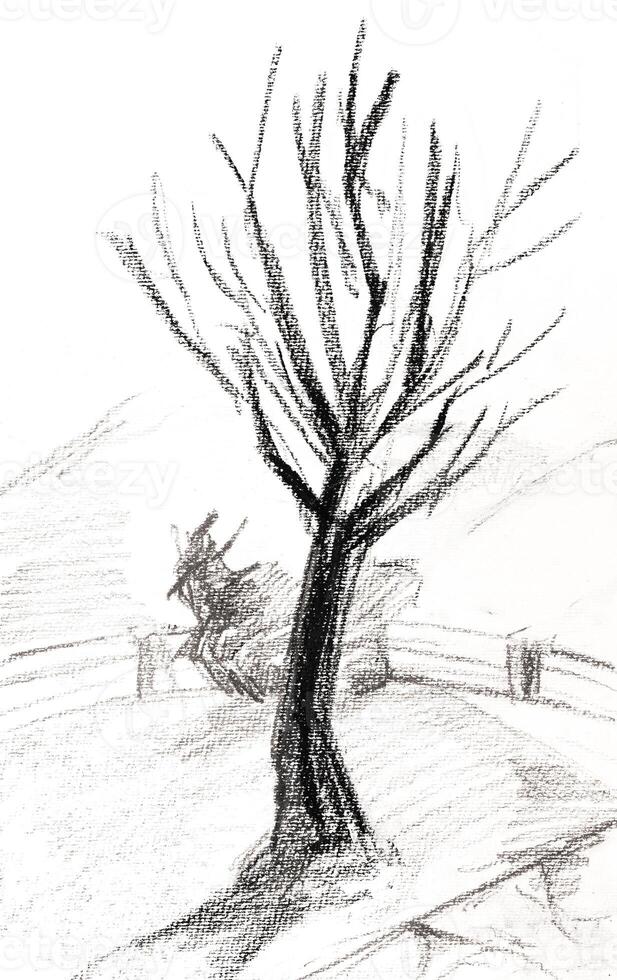 hand drawn tree in yard in mountains on paper photo