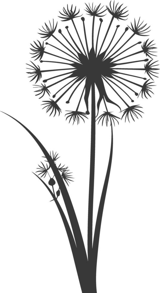 AI generated Silhouette Dandelions flower single black color only vector