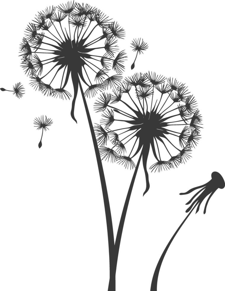 AI generated Silhouette Dandelions flower single black color only vector