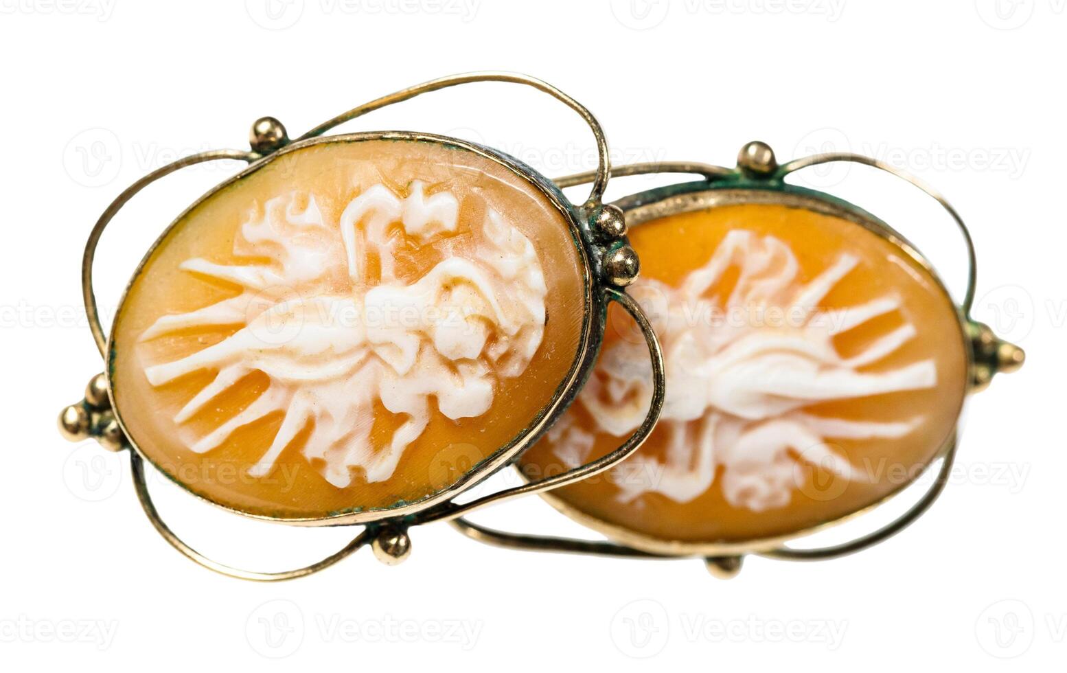antique earrings with cameo carved on see shells photo