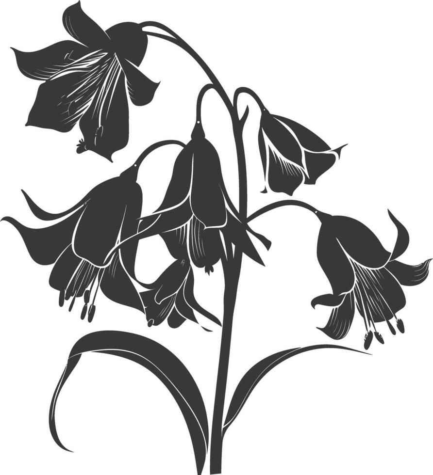 AI generated Silhouette bluebell flower black color only vector