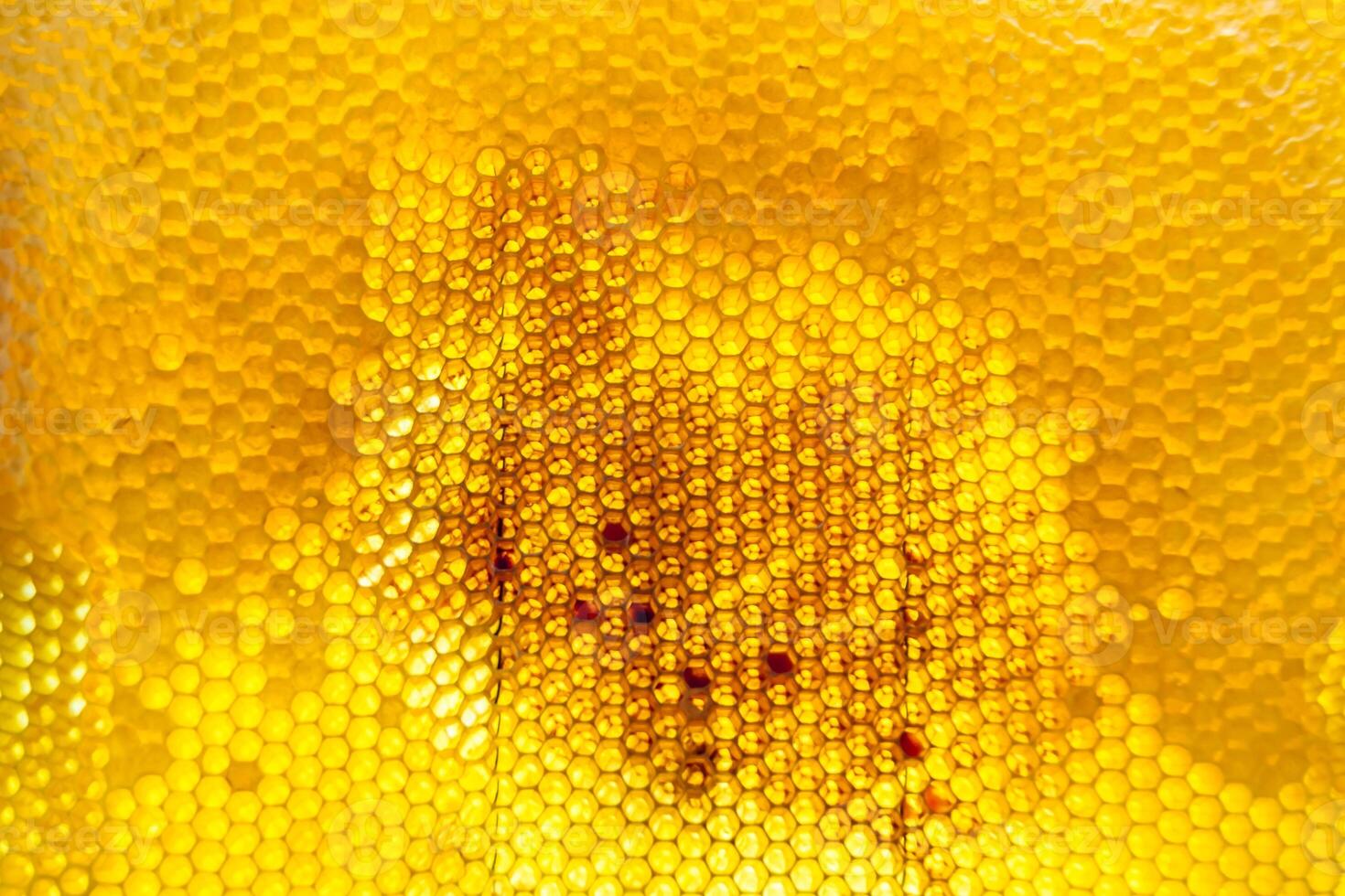 gota de goteo de miel de abeja de panales hexagonales llenos de néctar dorado foto