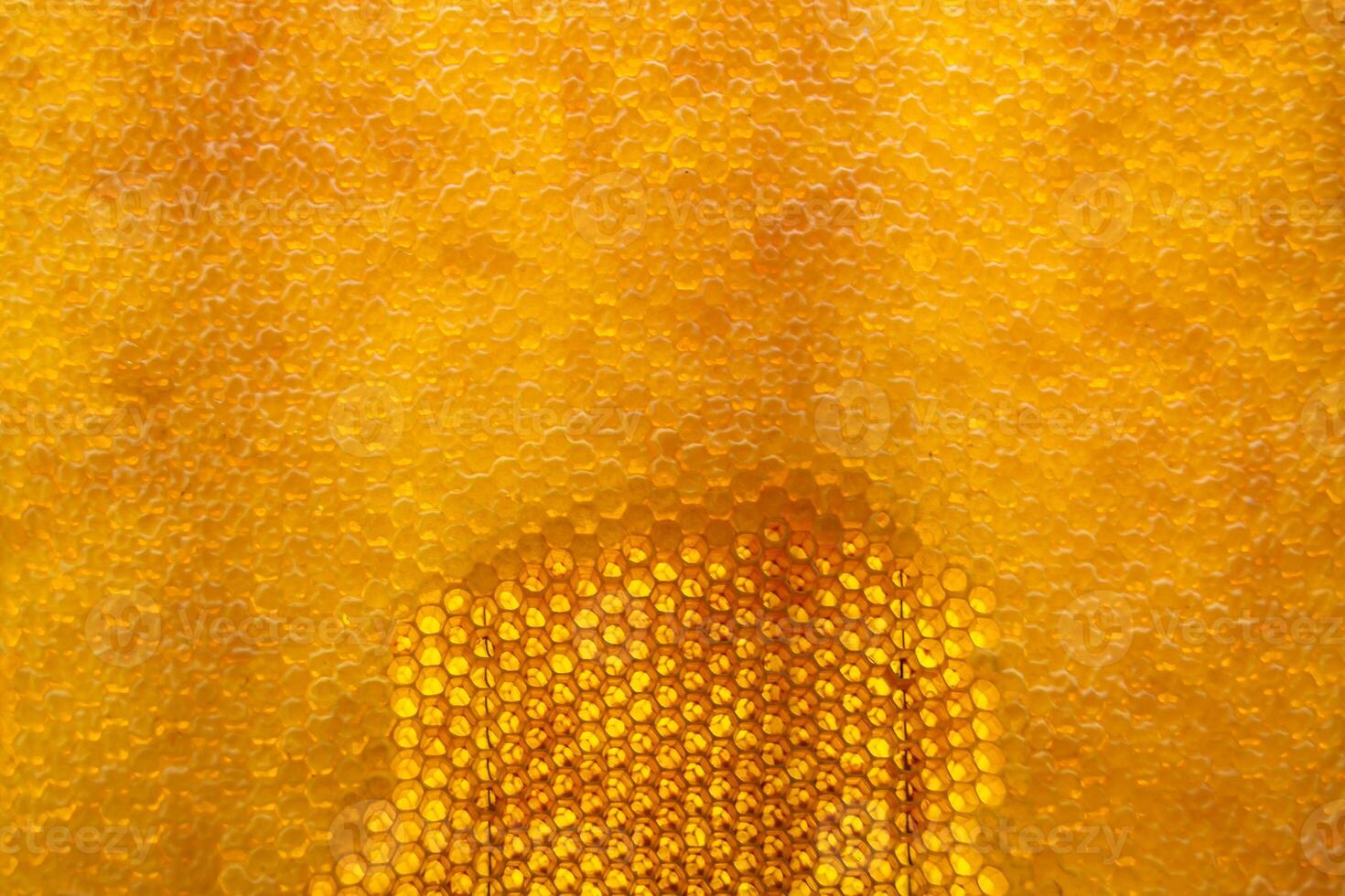 Drop of bee honey drip from hexagonal honeycombs filled with golden nectar photo