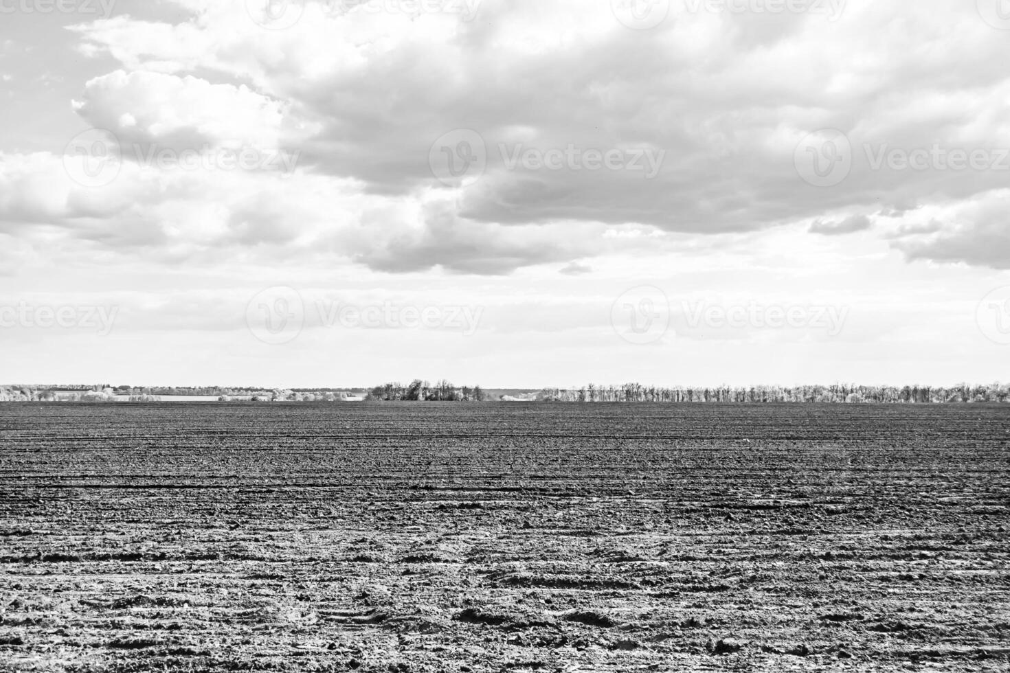 Photography on theme big empty farm field for organic harvest photo