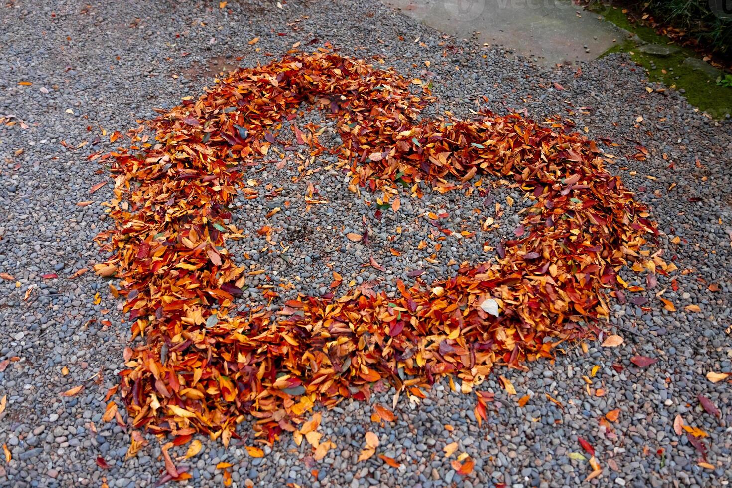 A heart shaped surrounded red leaves on the ground in autumn photo