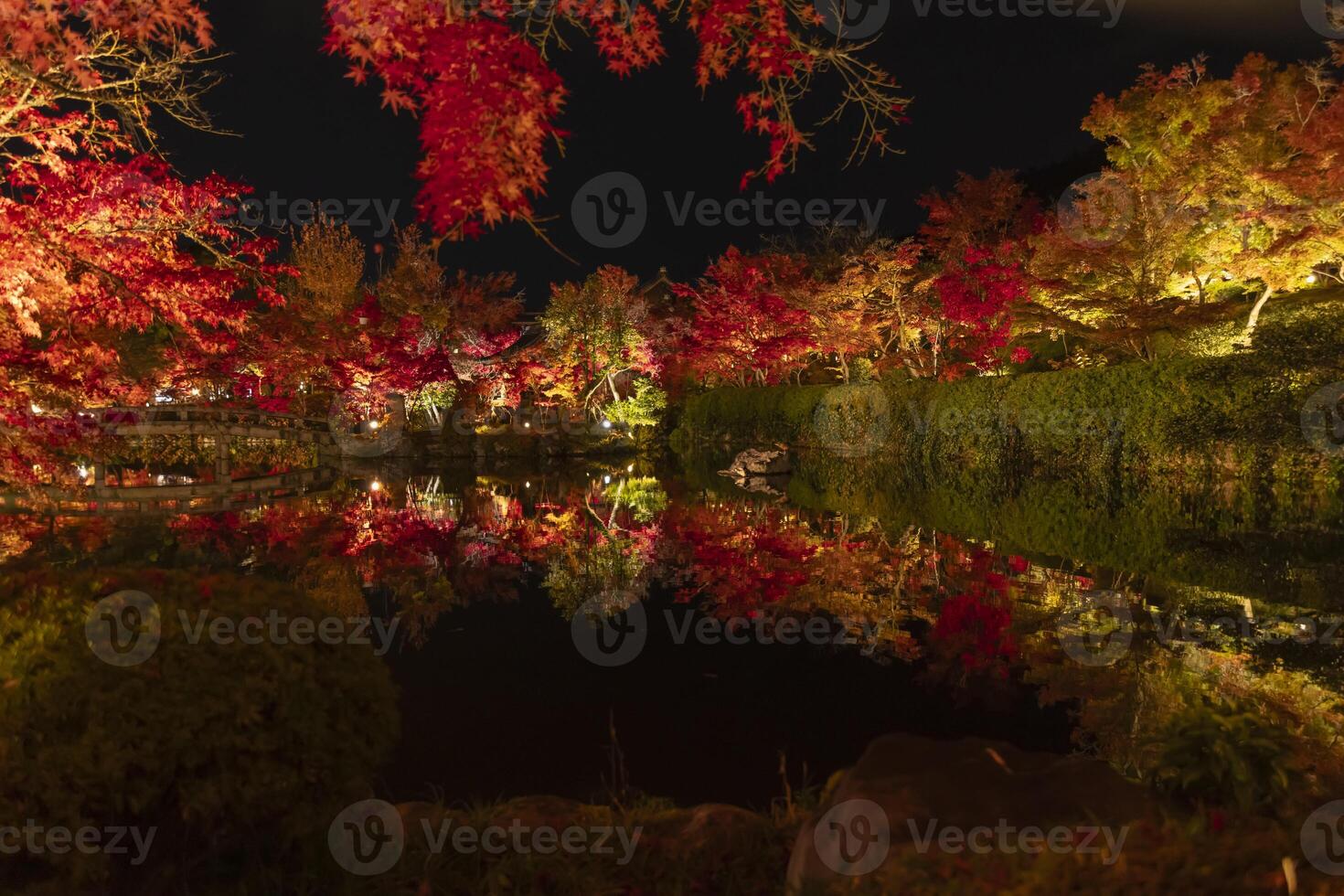 An illuminated red leaves reflecting on the water at the traditional garden photo
