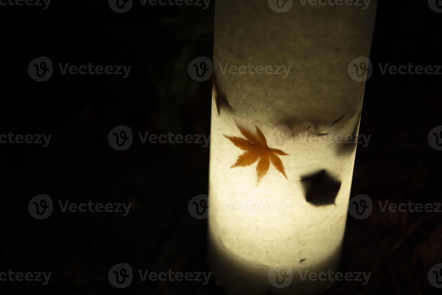 An illuminated red leaves in the light at the traditional garden at night in autumn photo