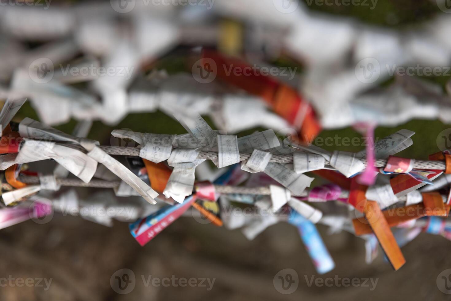 A fortune telling slip at Tomioka Shrine closeup photo