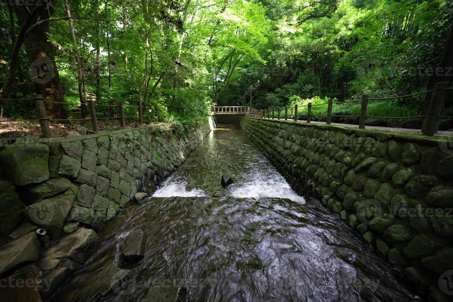A small valley near the river in Todoroki Tokyo wide shot photo