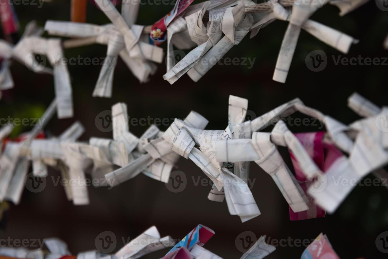 A fortune telling slip at Tomioka Shrine closeup photo