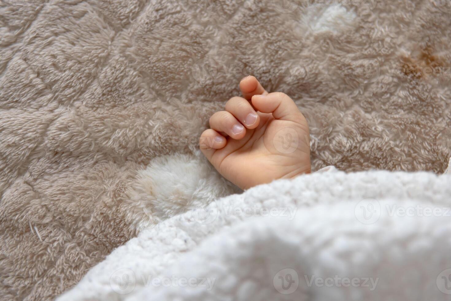 A right hand of sleeping asian baby on the carpet photo