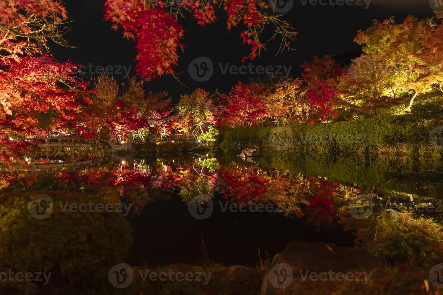 An illuminated red leaves reflecting on the water at the traditional garden photo