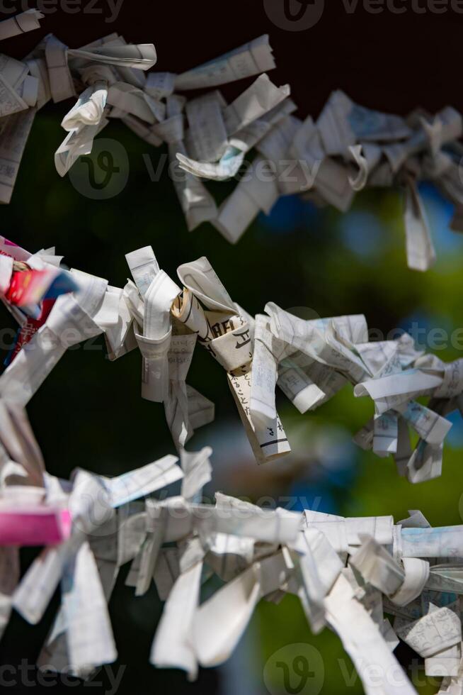 A fortune telling slip at Tomioka Shrine closeup photo