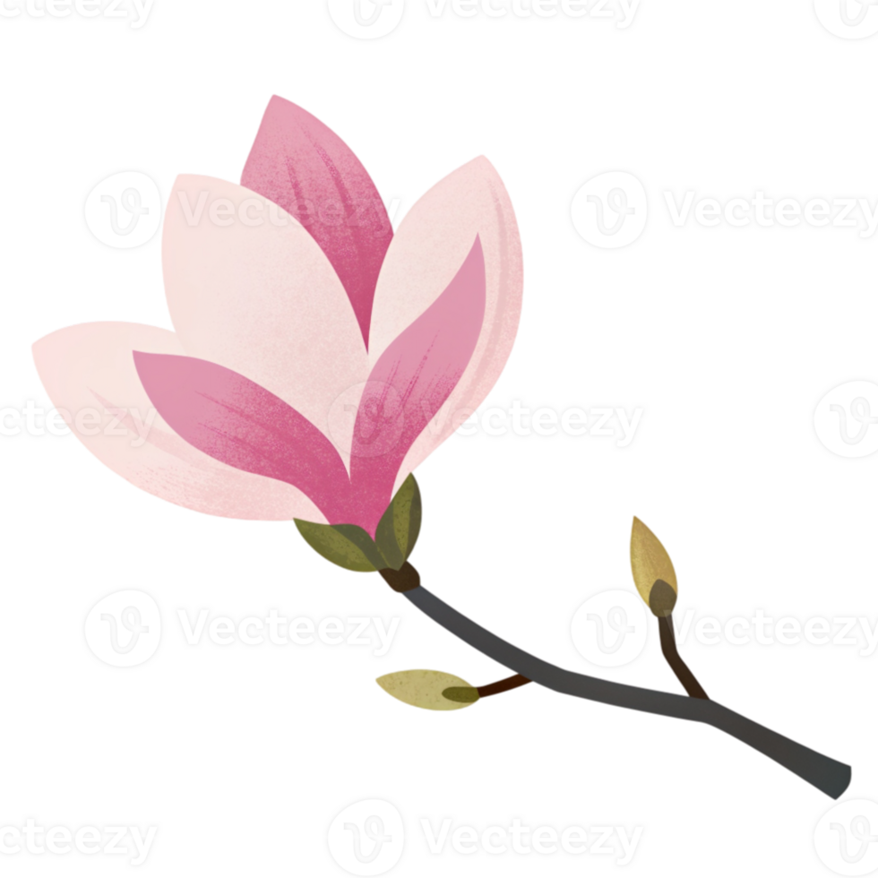 AI generated A stylized magnolia bloom rendered in soft pink tones with subtle polka dots adorns a dark branch png