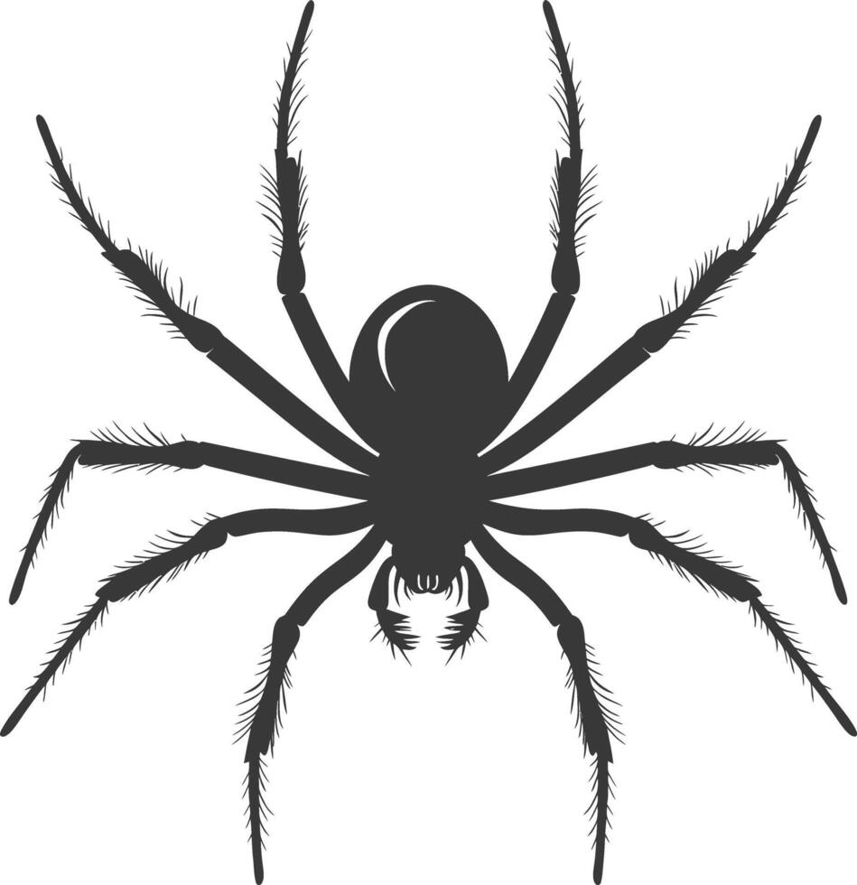 AI generated Silhouette spider animal black color only vector