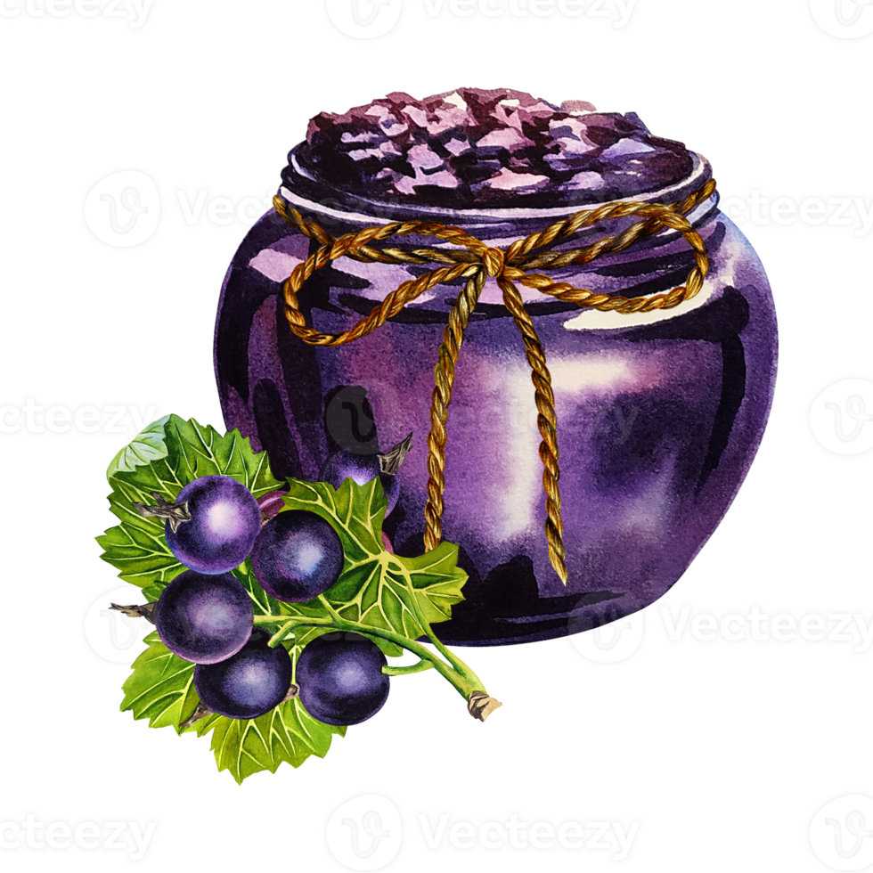 A jar of blackcurrant jam. Watercolor illustration drawn by hand. Isolate. For labels, packaging and banners. For textiles, prints and stickers. For menus, invitation cards. png