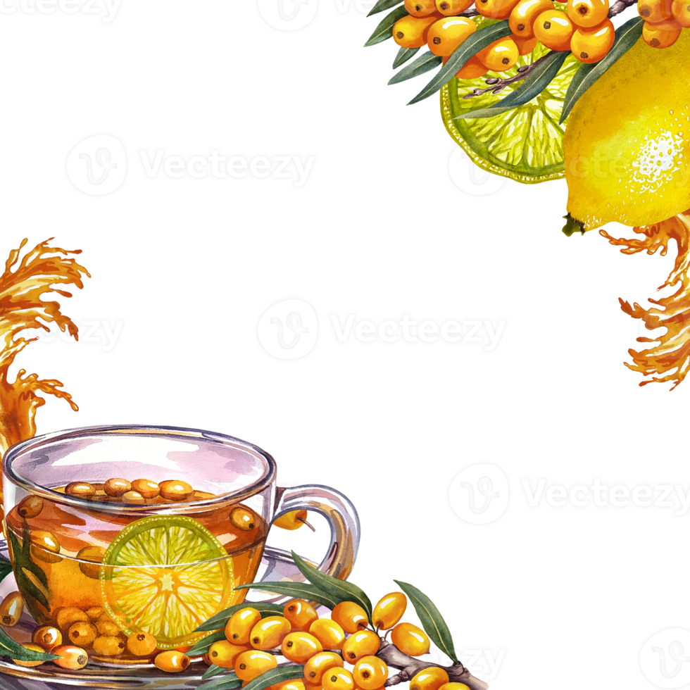 Frame with sea buckthorn tea. Glass cup with vitamin tea, lemon and sea buckthorn. Handmade watercolor illustration. For invitations, banners, flyers, packaging and menus. For pharmaceutical, posters. png