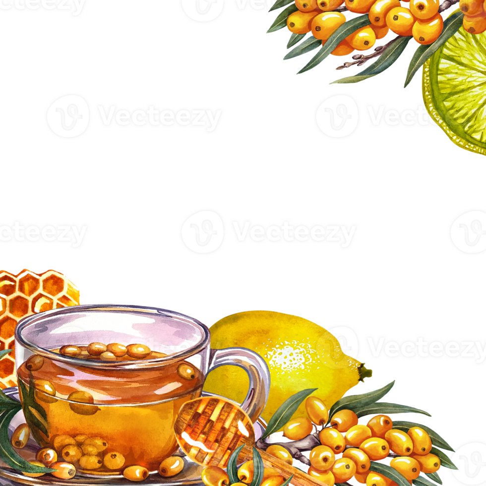 Frame with sea buckthorn tea. Glass cup with vitamin tea, lemon and honey. Handmade watercolor illustration. For invitations, banners, flyers, packaging and menus. For pharmaceutical labels, posters. png