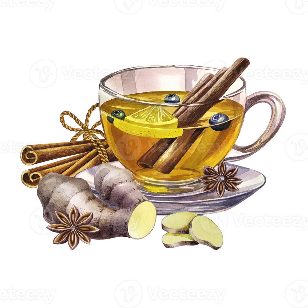 A cup of tea with ginger, cinnamon and star anise. A glass transparent cup filled with tea. a hand-drawn watercolor illustration. For design solutions of invitations, banners, packaging and menus. png