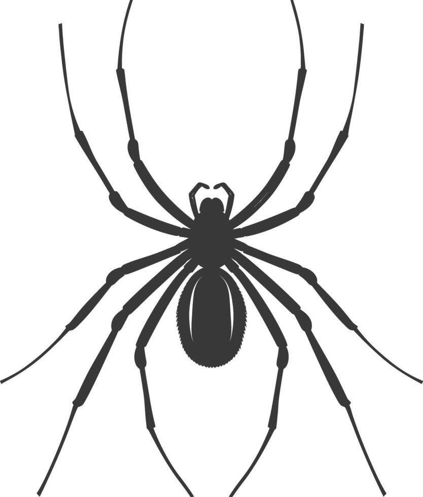 AI generated Silhouette spider animal black color only vector