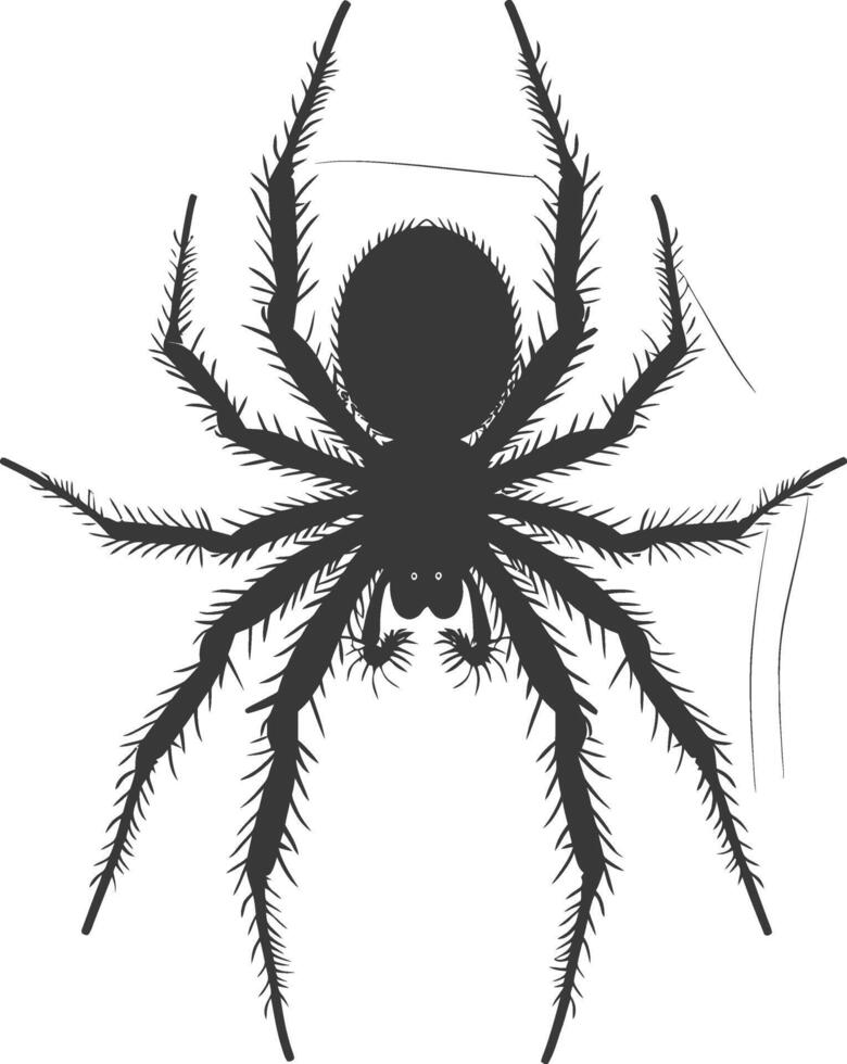 AI generated Silhouette spider animal black color only vector
