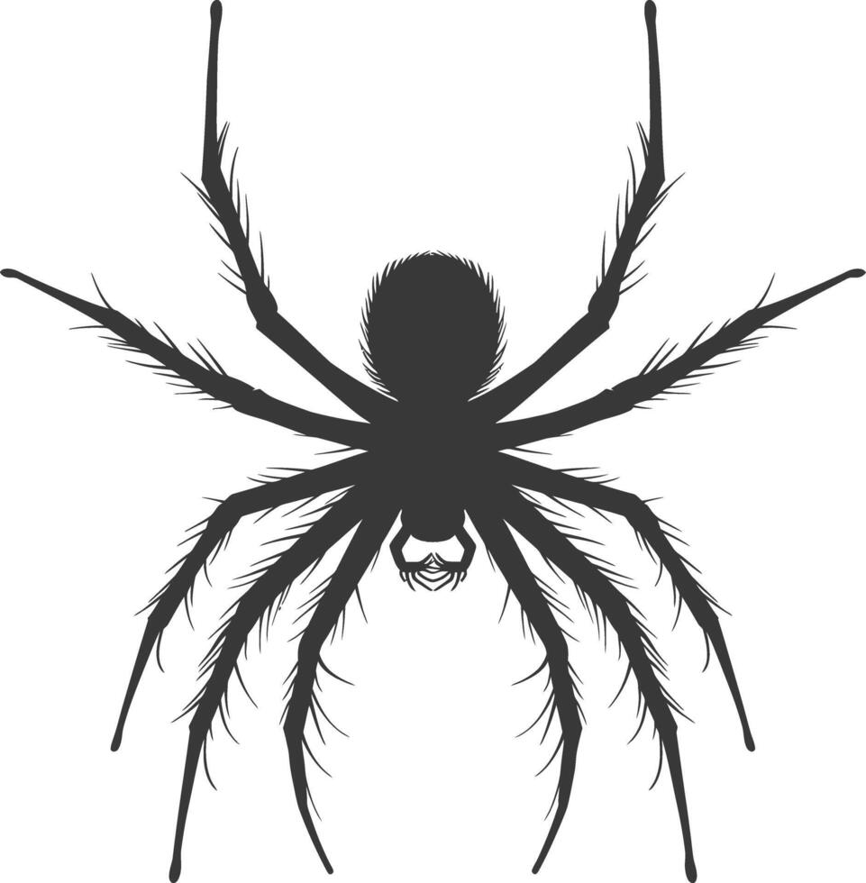 ai generado silueta araña animal negro color solamente vector