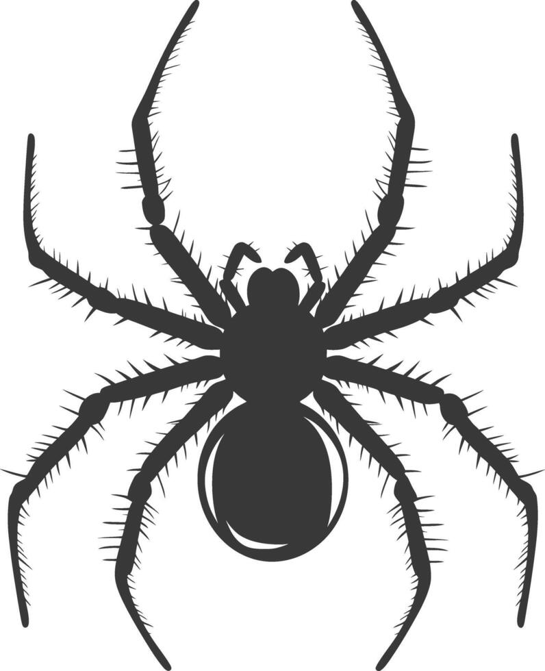 AI generated Silhouette spider animal black color only vector