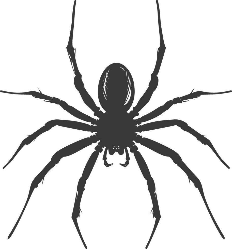 AI generated Silhouette spider animal black color only vector