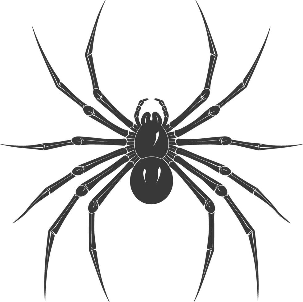 AI generated Silhouette spider animal black color only vector