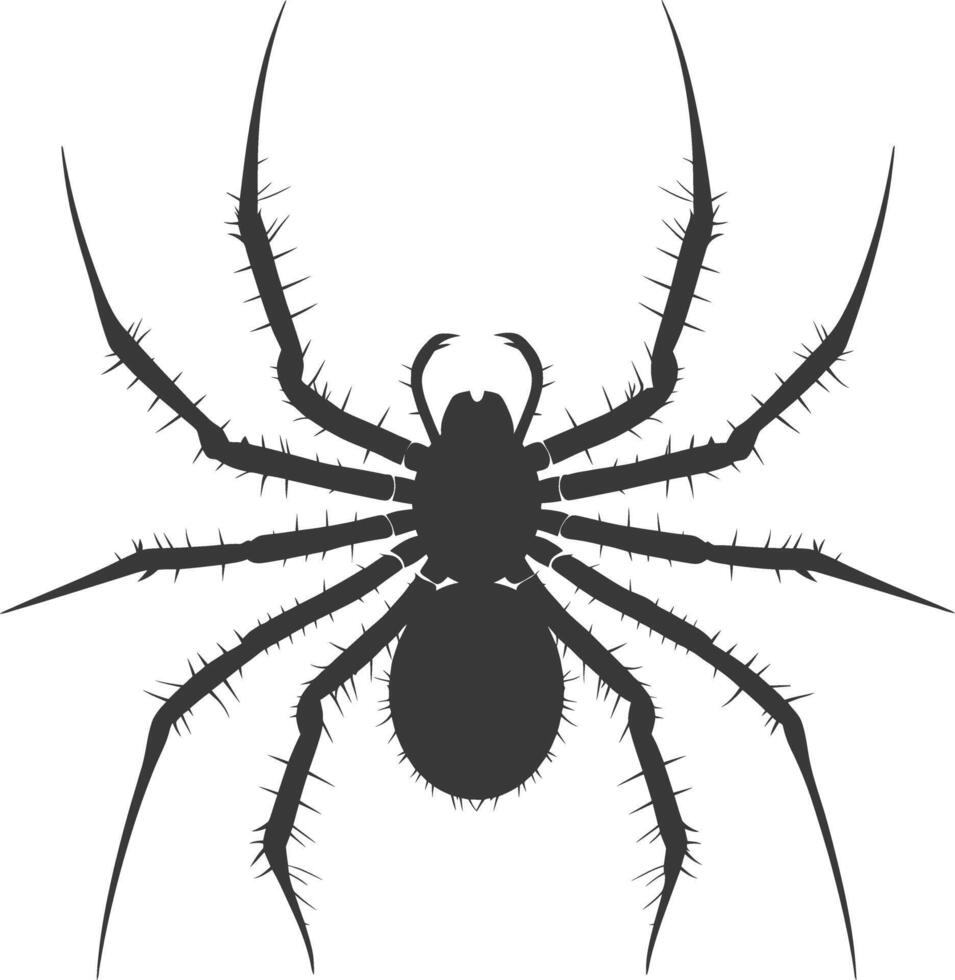 AI generated Silhouette spider animal black color only vector