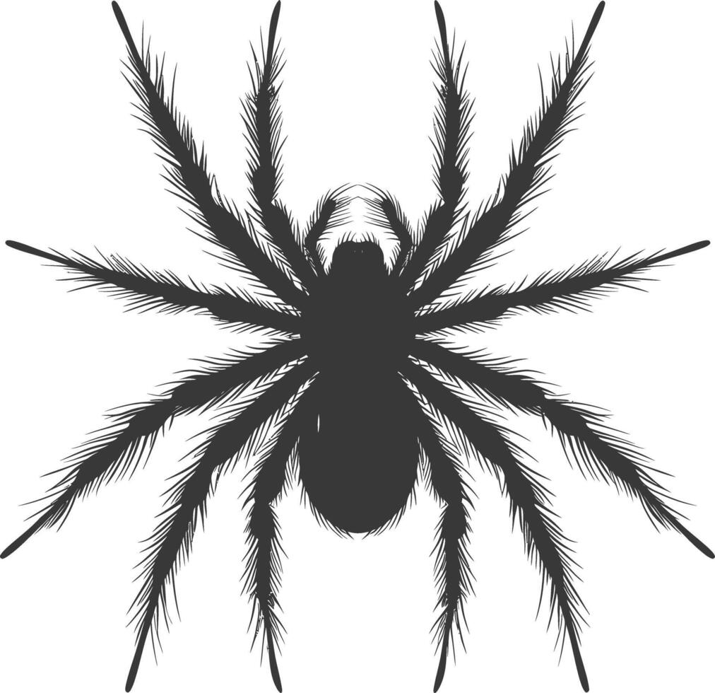 ai generado silueta araña animal negro color solamente vector