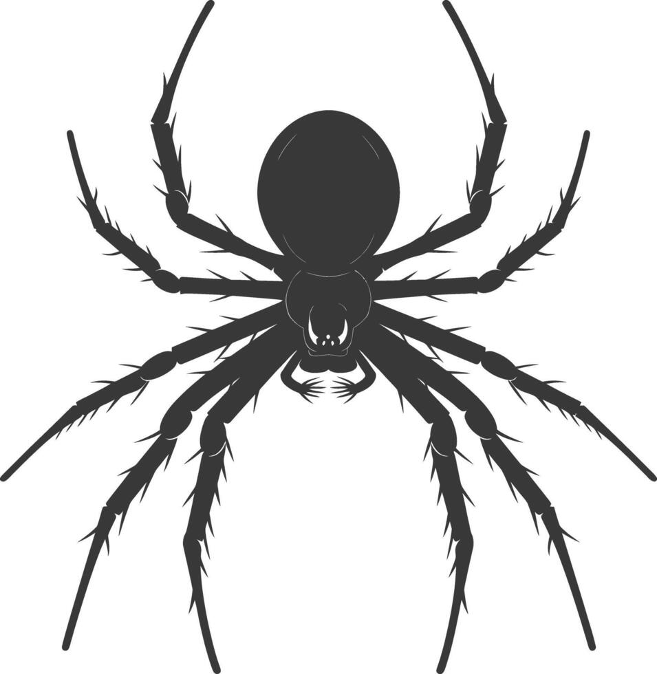 ai generado silueta araña animal negro color solamente vector