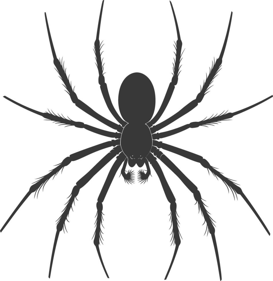 AI generated Silhouette spider animal black color only vector