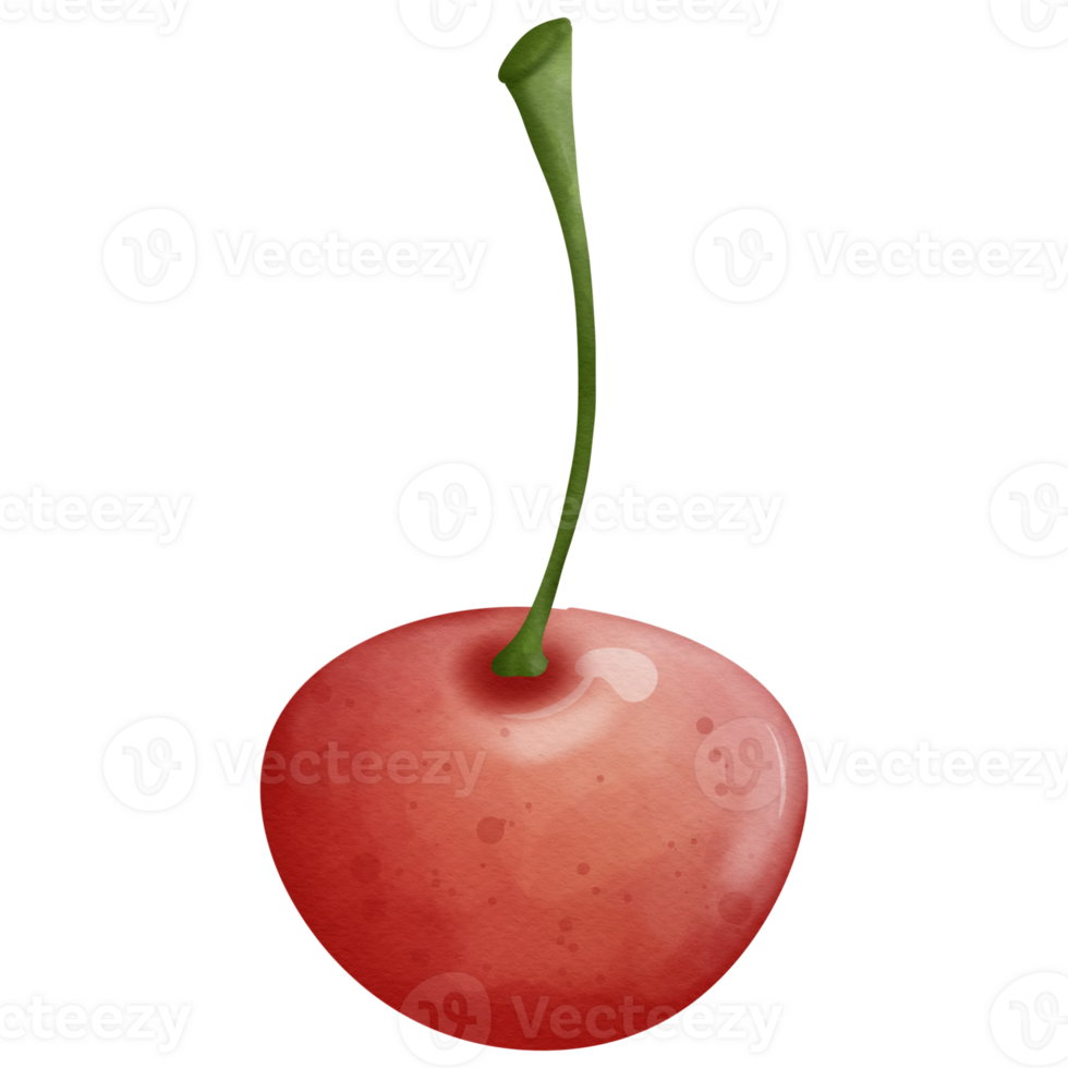 Cherry watercolor elements so cute png