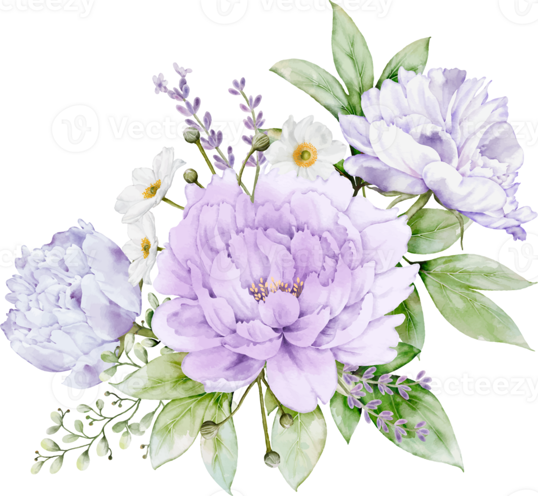 Peony Flowers Bouquet png