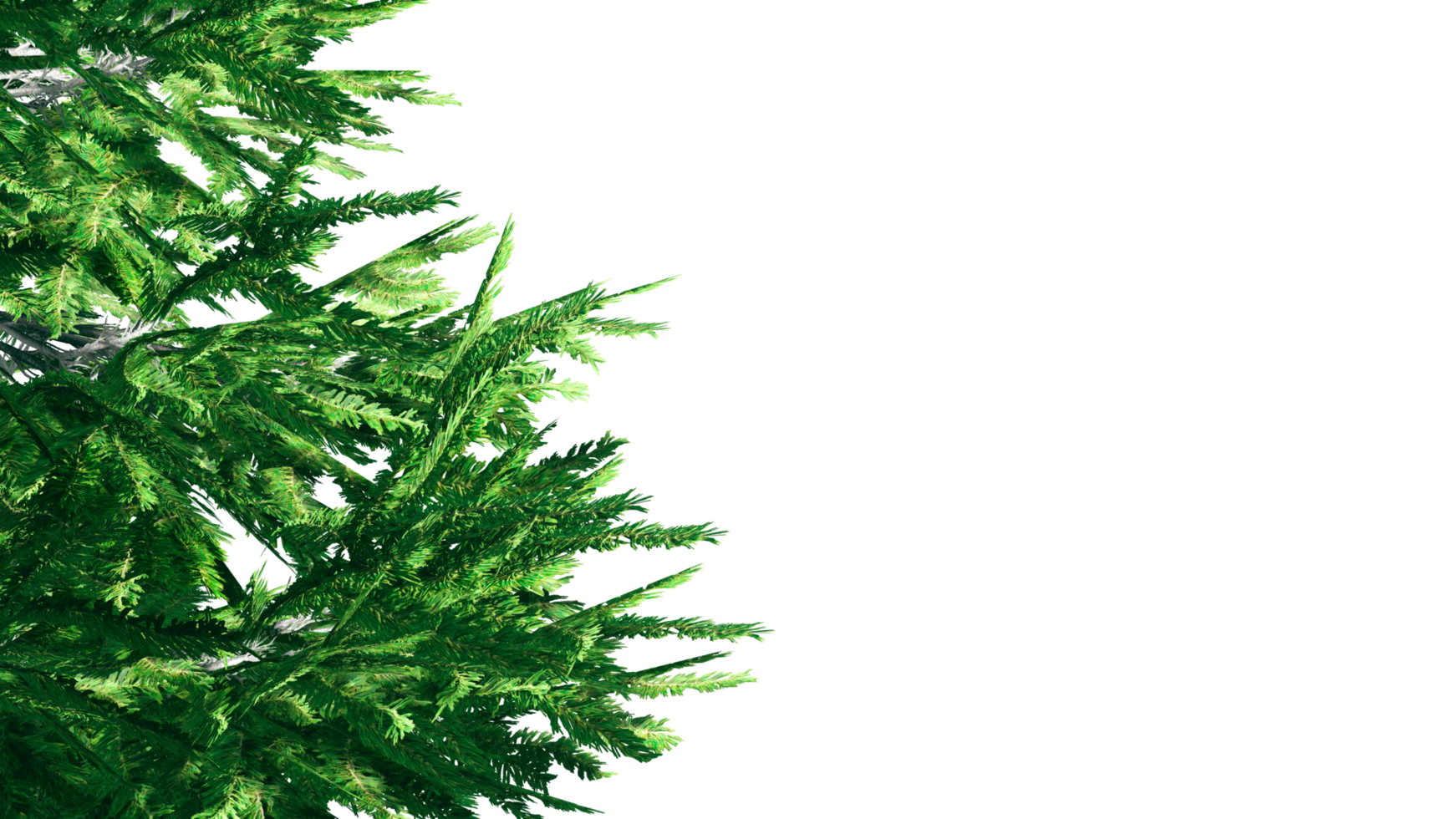 3d christmas tree branches isolated png
