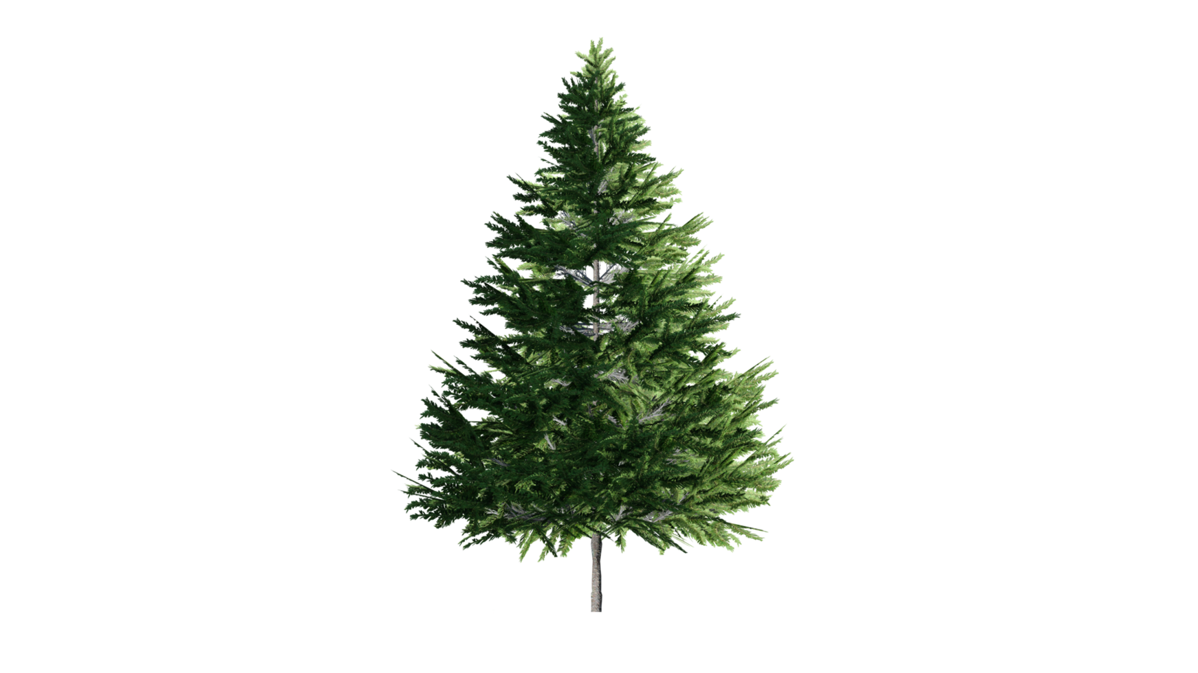 Beautiful 3D Trees Isolated, Use for visualization in architectural design or garden decorate png