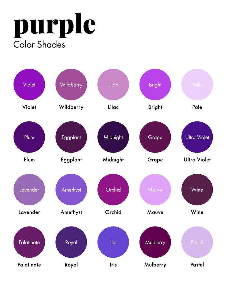 Purple Color Shades Swatches Palette with Names vector