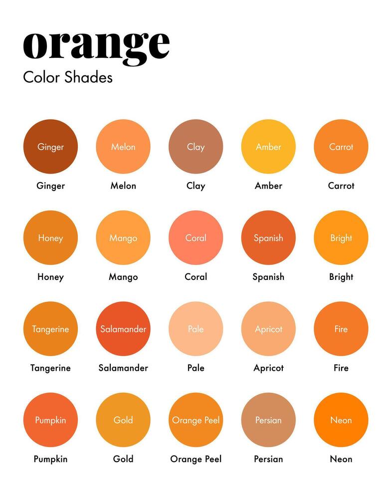 Orange Color Shades Swatches Palette with Names vector